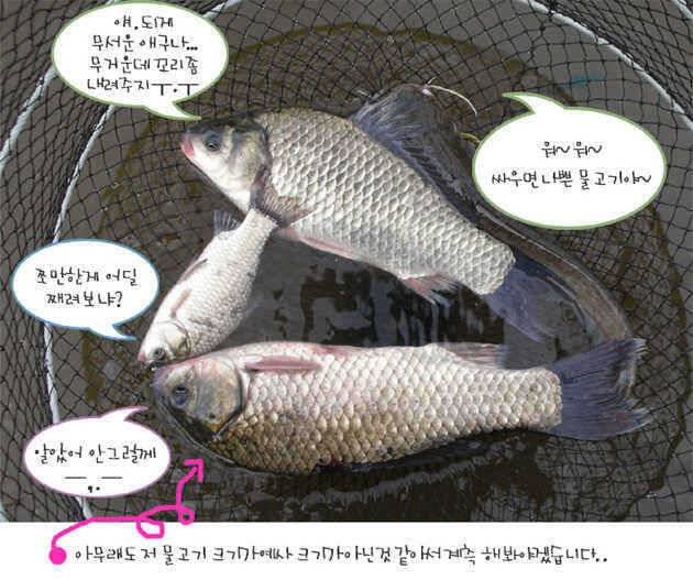 ■■ 삼합지 ■■ 父傳子傳 字典父傳 (유료터정보 - 유료터점주조황)