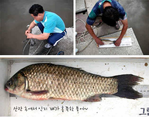 ■■ 삼합지 ■■ 父傳子傳 字典父傳 (유료터정보 - 유료터점주조황)