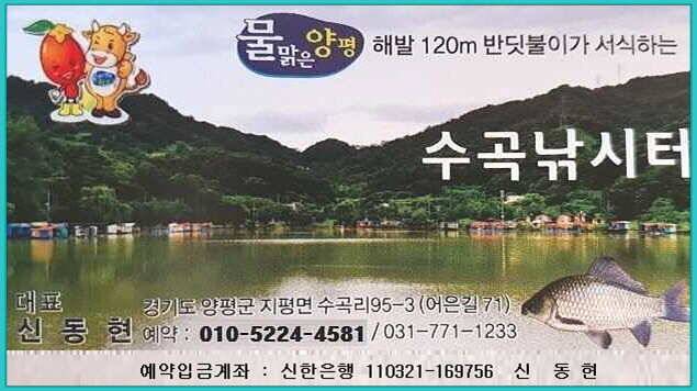 양평수곡낚시터 조황및 노지부교 신설 배치 (유료터정보 - 유료터점주조황)