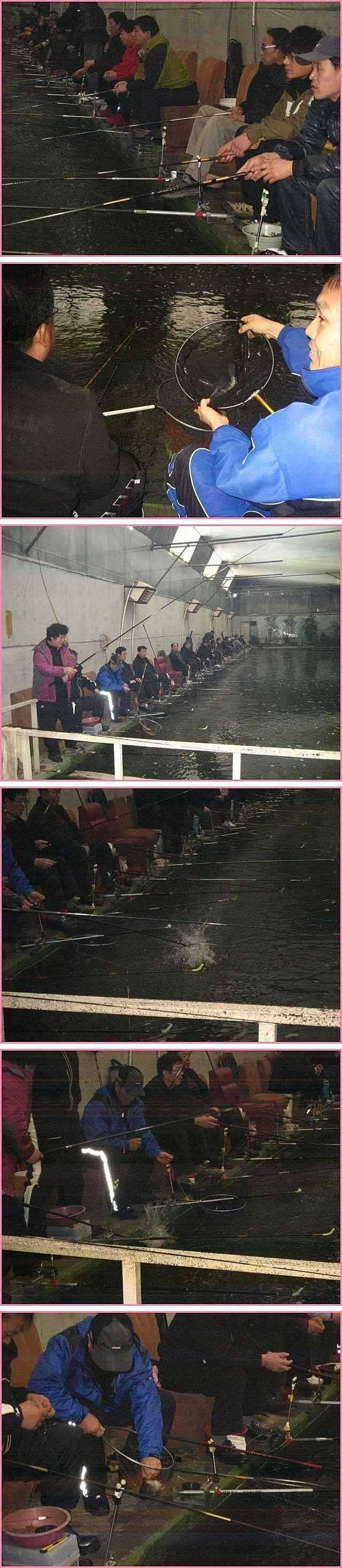 숨고르기 (유료터정보 - 유료터점주조황)