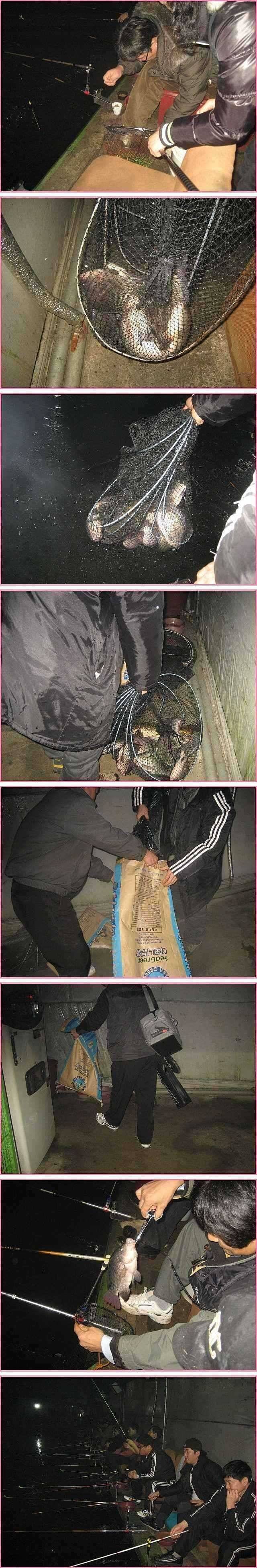 고상한 상상력 (유료터정보 - 유료터점주조황)