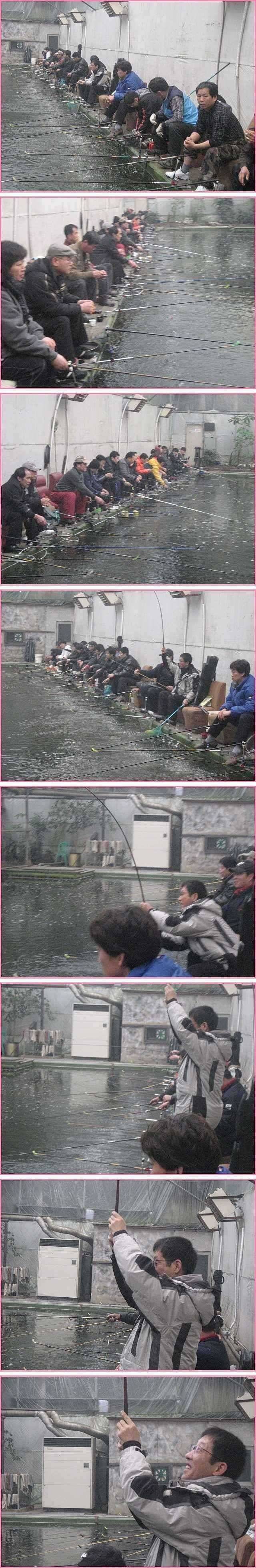 고상한 상상력 (유료터정보 - 유료터점주조황)