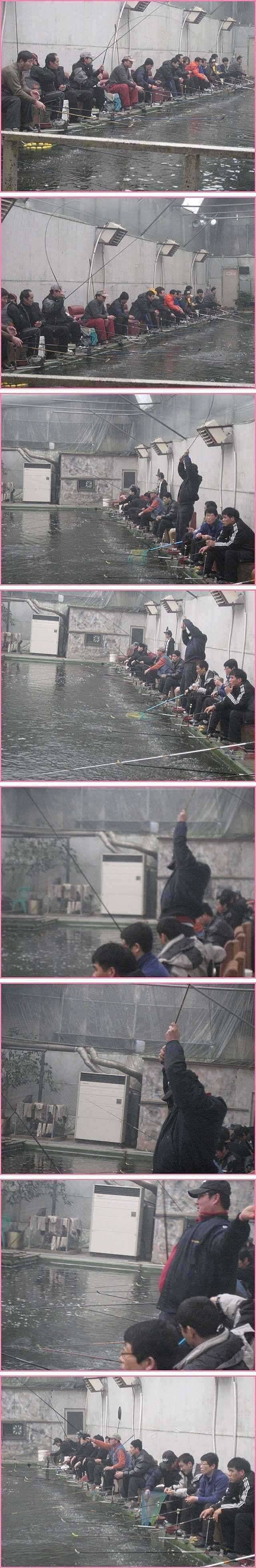 고상한 상상력 (유료터정보 - 유료터점주조황)