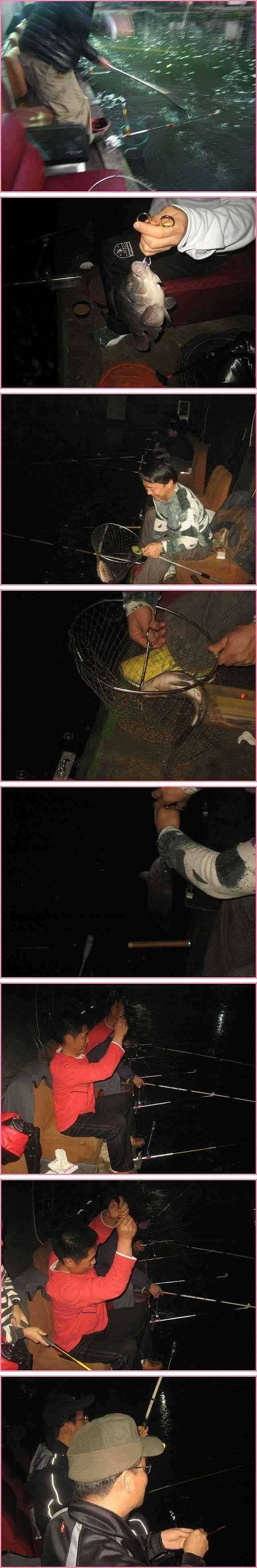 맹목적 순응 (유료터정보 - 유료터점주조황)