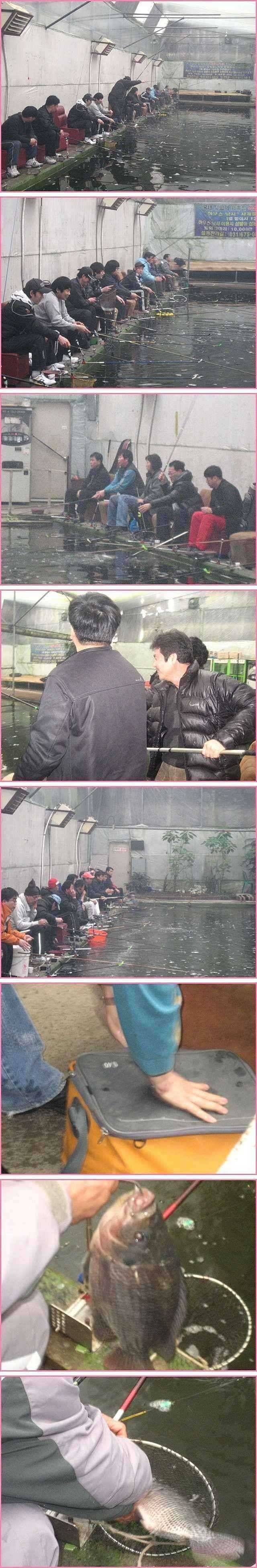 맹목적 순응 (유료터정보 - 유료터점주조황)