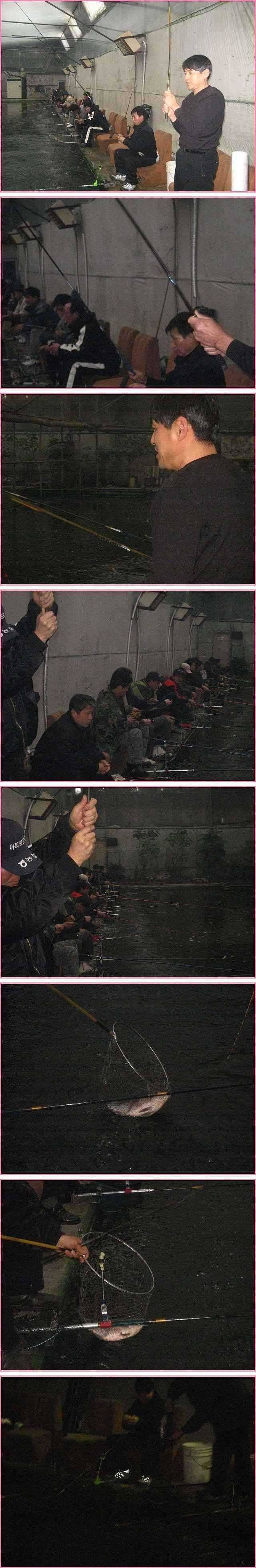 대를 놓은 얼뜨기 (유료터정보 - 유료터점주조황)