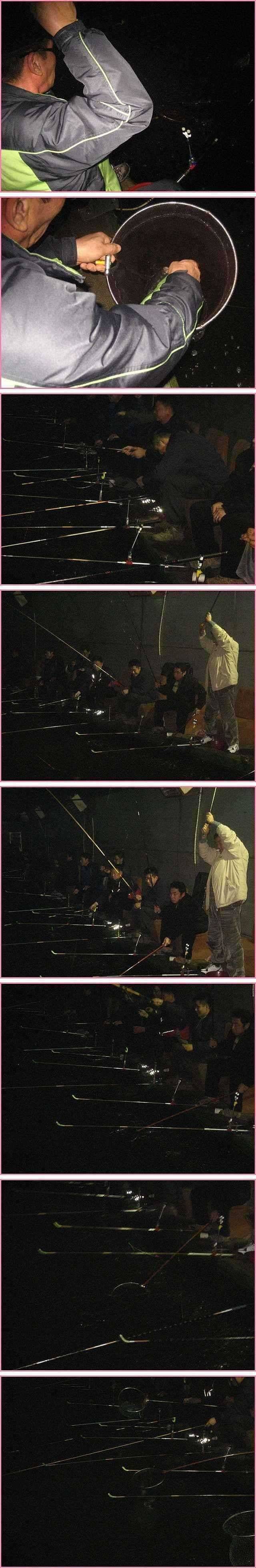 대를 놓은 얼뜨기 (유료터정보 - 유료터점주조황)