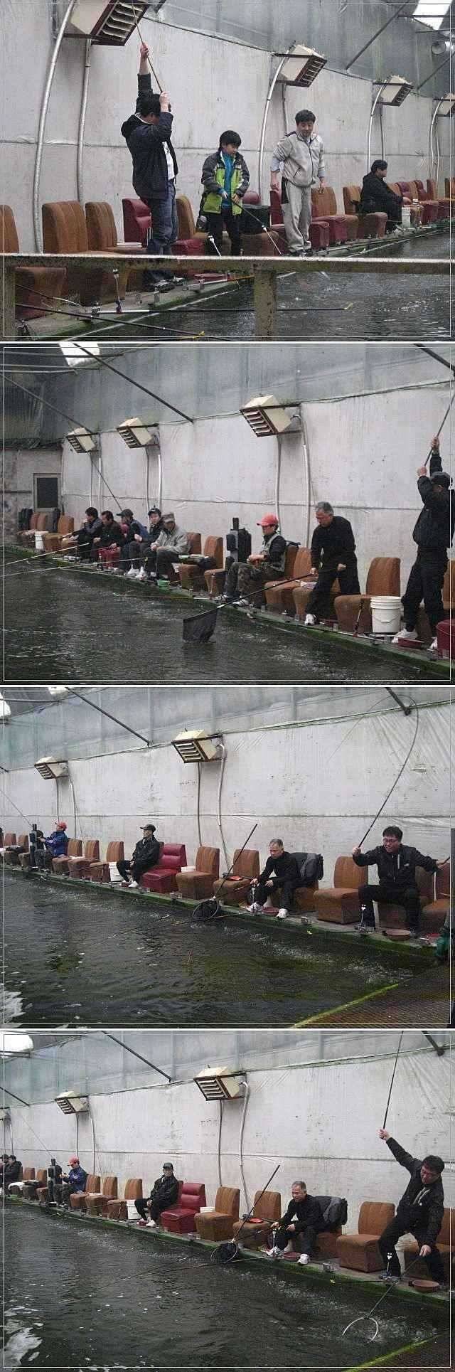 시기적절한 선택 (유료터정보 - 유료터점주조황)