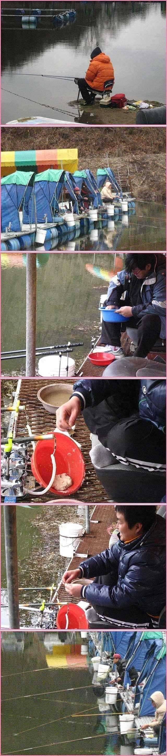 시기적절한 선택 (유료터정보 - 유료터점주조황)