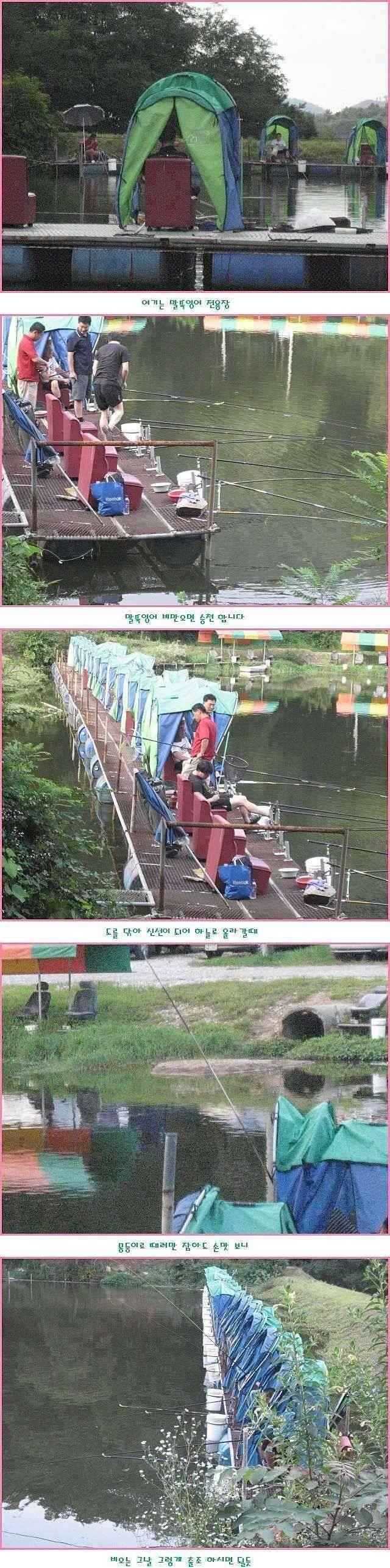 납량 특집 (유료터정보 - 유료터점주조황)