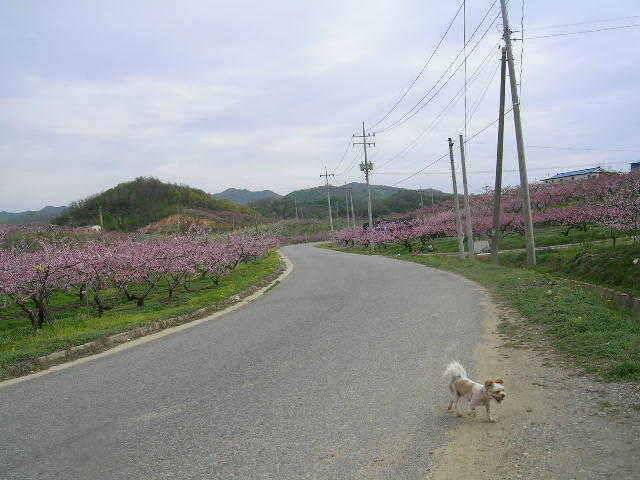 거일낚시터 (유료터정보 - 유료터점주조황)