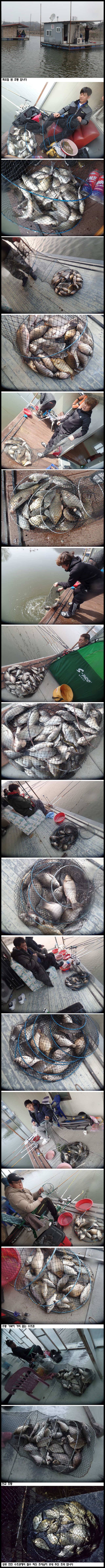 아산죽산지327일 화요일 밤 조황 입니다 (유료터정보 - 유료터점주조황)