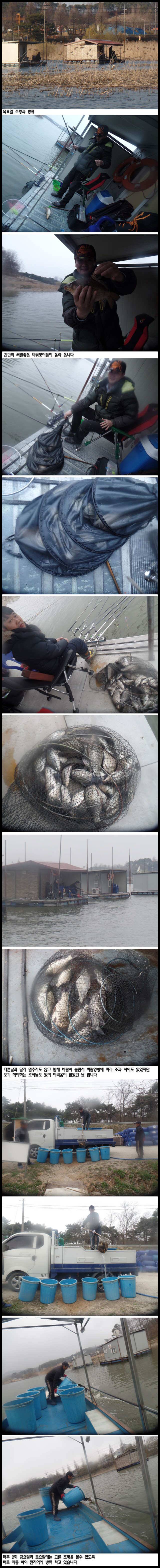 아산죽산지45일 목요일 조황과 방류 (유료터정보 - 유료터점주조황)