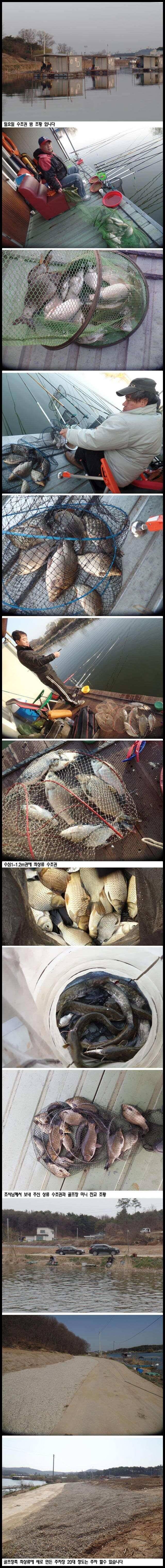 아산죽산지48일 일요일 수초권 밤 조황 입니다 (유료터정보 - 유료터점주조황)