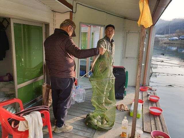 물 맑고 힘 좋은 용인 삼인 낚시터 조황용인 삼인낚시터 (유료터정보 - 유료터점주조황)