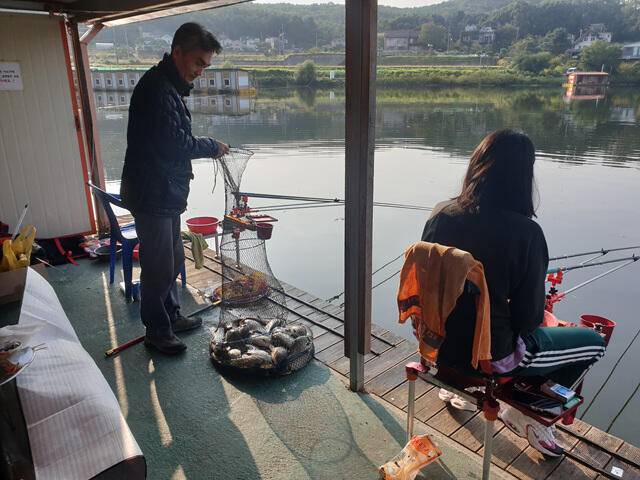 가깝고 물좋고 경치 좋은곳용인삼인낚시터 (유료터정보 - 유료터점주조황)