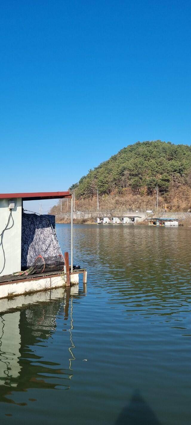 어우실지 나오면 월척에 때깔좋은어우실 입니다 오염이없는 저수지9 (유료터정보 - 유료터점주조황)