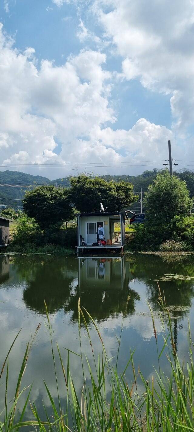 어우실지 나오면 월척에 때깔좋은어우실 입니다 오염이없는 저수지9 (유료터정보 - 유료터점주조황)