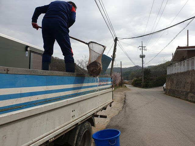 물 맑고 힘 좋은 용인 삼인 낚시터 조황용인 삼인낚시터 (유료터정보 - 유료터점주조황)