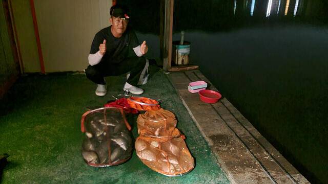 가깝고 물좋고 경치 좋은곳용인삼인낚시터 (유료터정보 - 유료터점주조황)