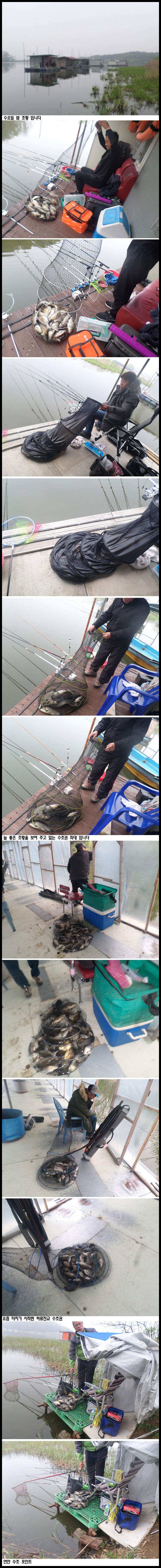 아산죽산지425일 수요일 수초권 밤 조황 입니다 (유료터정보 - 유료터점주조황)