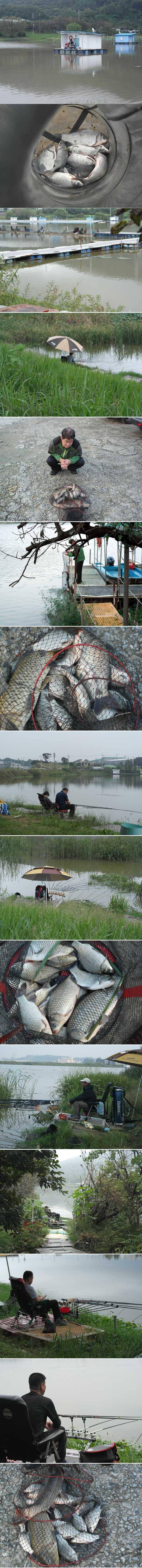 명절연휴 좋은 조황으로 출발합니다 (유료터정보 - 유료터점주조황)