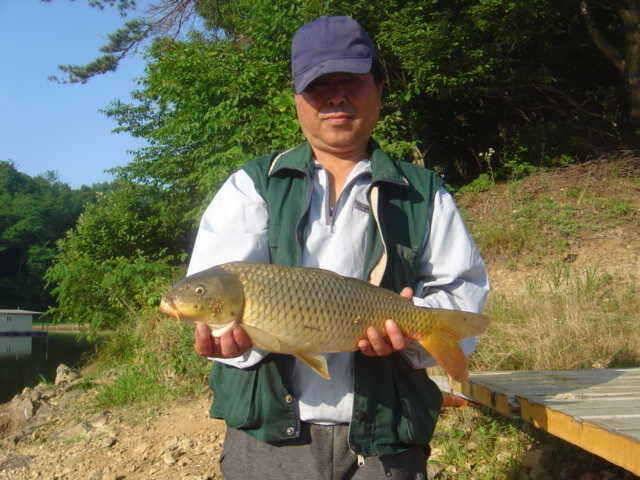 충남 아산 신수지 6월 네째주 주중조황입니다 (유료터정보 - 유료터점주조황)
