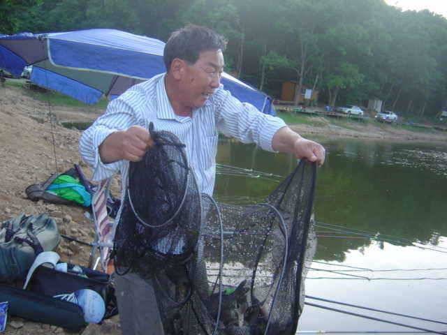 충남 아산 신수지 6월 네째주 주중조황입니다 (유료터정보 - 유료터점주조황)
