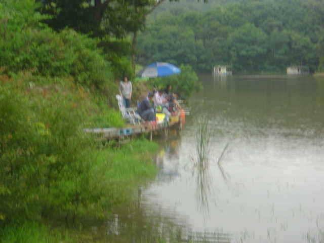 충남 아산 신수낚시터 7월 둘째주 중 조황입니다 (유료터정보 - 유료터점주조황)