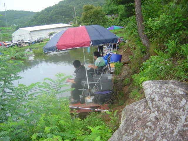7월 네째주 신수지 주말 조황입니다 (유료터정보 - 유료터점주조황)