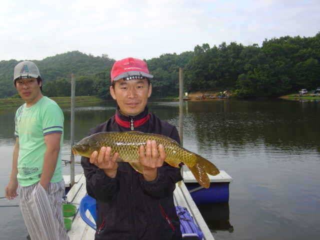 아산신수지 8월 주초조황입니다 (유료터정보 - 유료터점주조황)