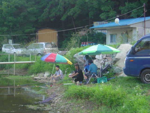 신수지 주말조황입니다 (유료터정보 - 유료터점주조황)