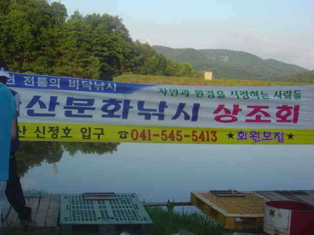 신수지 주말조황입니다 (유료터정보 - 유료터점주조황)