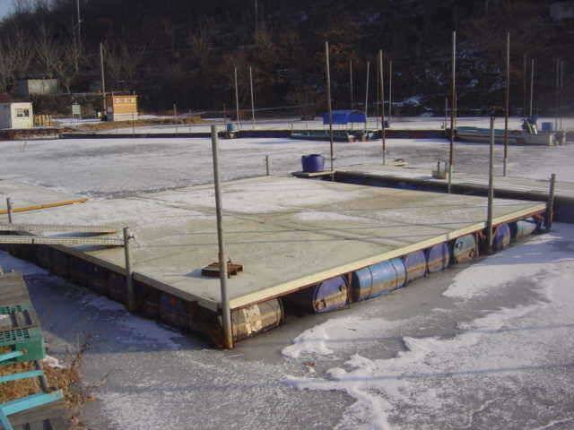 2010년 1월 1일 신수지 모습입니다 (유료터정보 - 유료터점주조황)