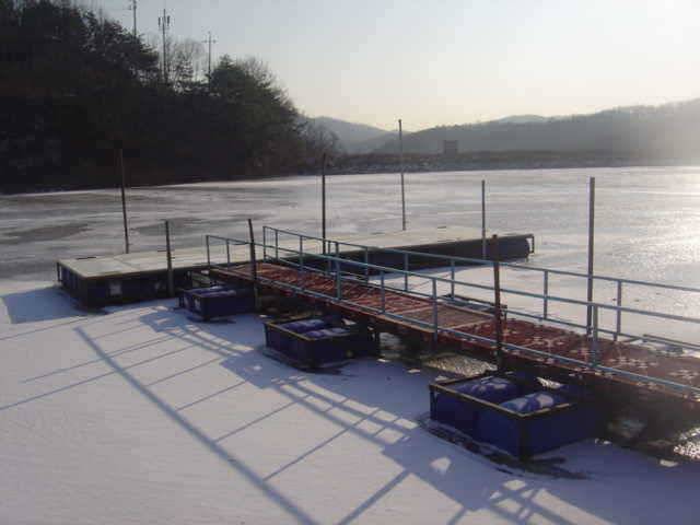 2010년 1월 1일 신수지 모습입니다 (유료터정보 - 유료터점주조황)