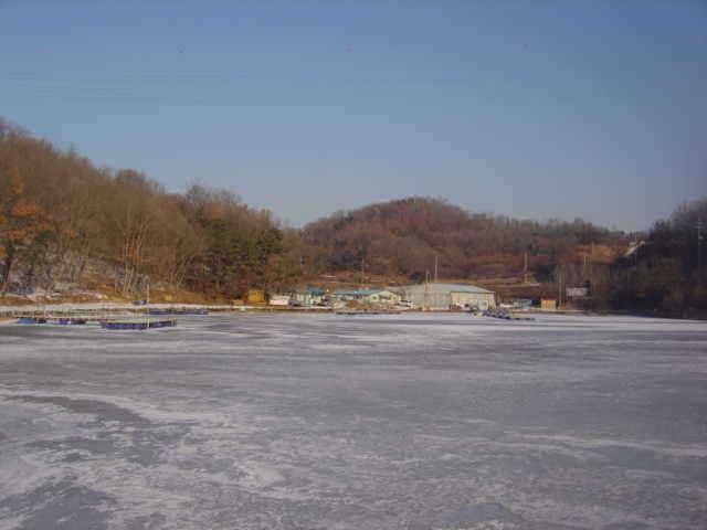 2010년 1월 1일 신수지 모습입니다 (유료터정보 - 유료터점주조황)