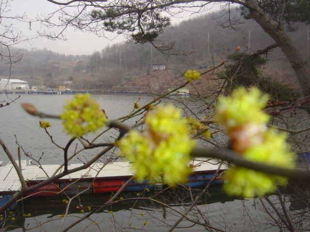 천천히 아주천천히 (유료터정보 - 유료터점주조황)