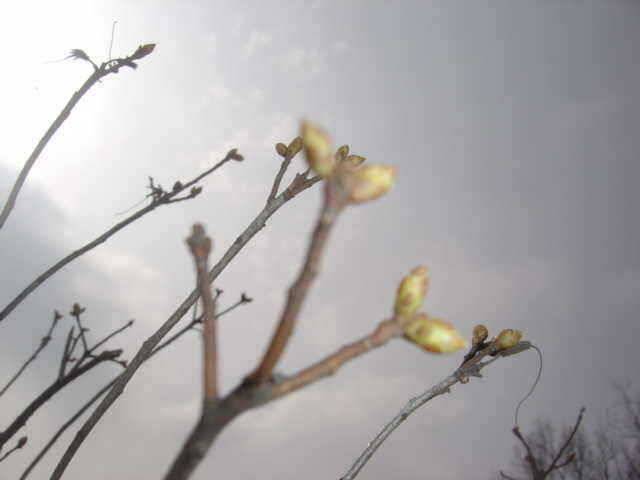 천천히 아주천천히 (유료터정보 - 유료터점주조황)