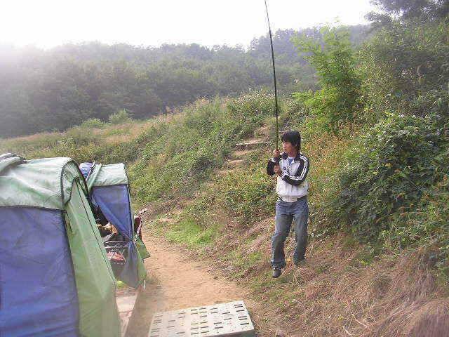 거일은 지금 누렁이 세상입니다 (유료터정보 - 유료터점주조황)