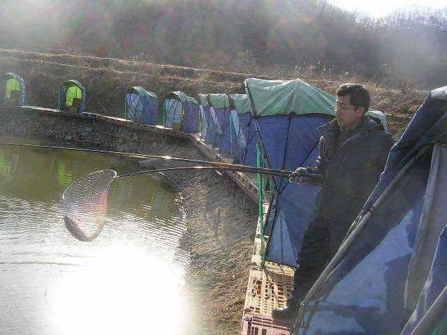 봄의 기지개 (유료터정보 - 유료터점주조황)