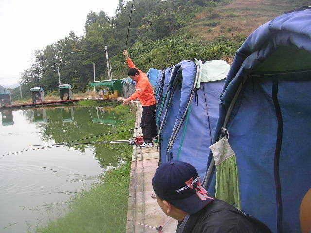 대물낚시 끝나지 않았지요 (유료터정보 - 유료터점주조황)