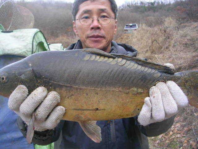 지금은 천복이 먼저 (유료터정보 - 유료터점주조황)
