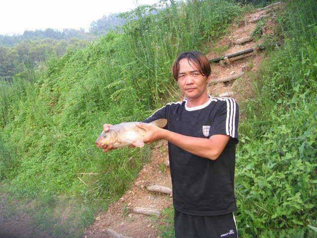 물갈이 전과후 조황 차이없네요 (유료터정보 - 유료터점주조황)