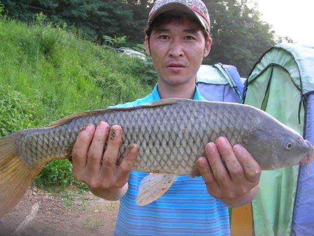 물갈이 전과후 조황 차이없네요 (유료터정보 - 유료터점주조황)