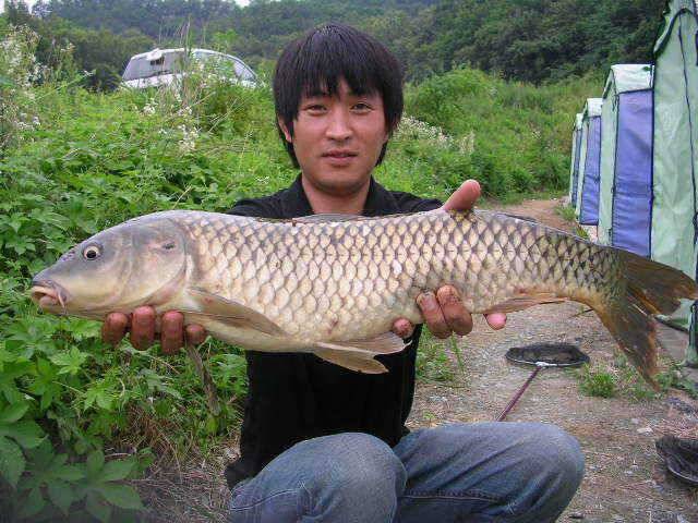 괴기한테 지면 안돼요 (유료터정보 - 유료터점주조황)