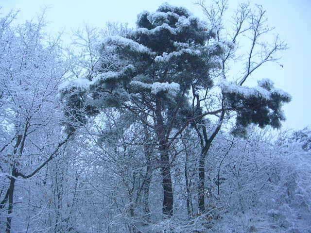 마음은 급해지는데 (유료터정보 - 유료터점주조황)