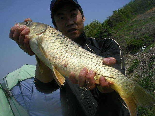 5월 두번째 조황 (유료터정보 - 유료터점주조황)