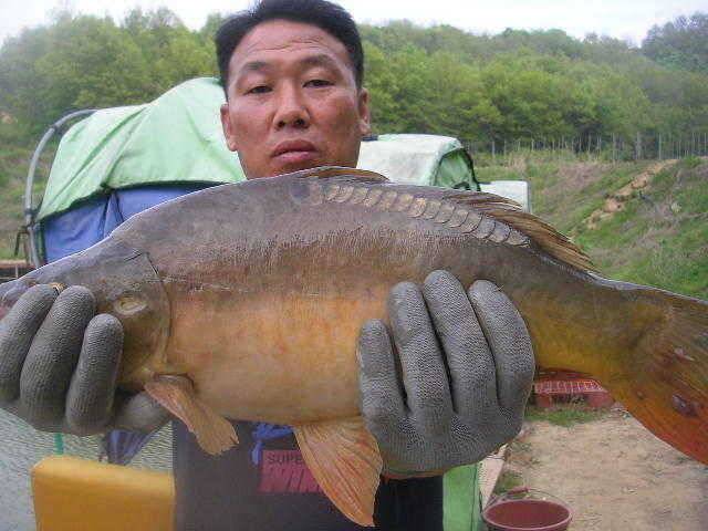 5월 두번째 조황 (유료터정보 - 유료터점주조황)