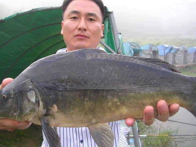 뜨거웠던 말복조황 (유료터정보 - 유료터점주조황)