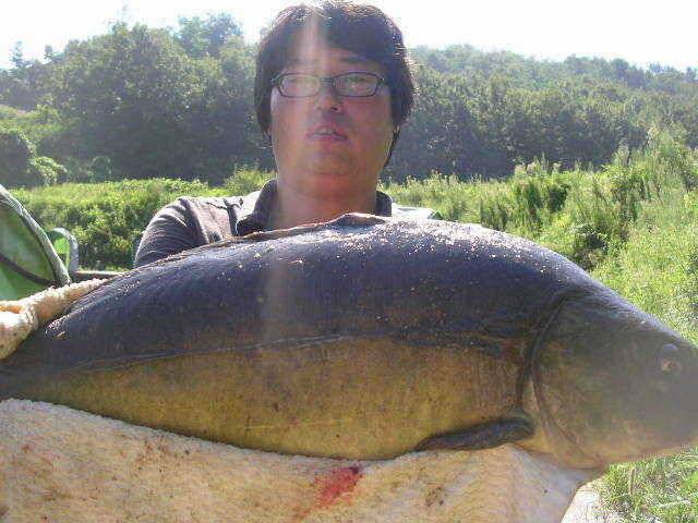 뜨거웠던 말복조황 (유료터정보 - 유료터점주조황)
